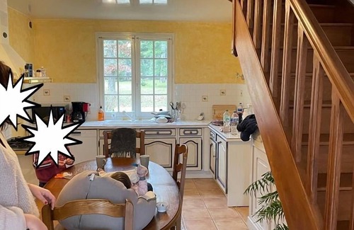 Menetreol Sur Sauldre Villa | Magnificent villa in a pretty wooded park of 6000m²