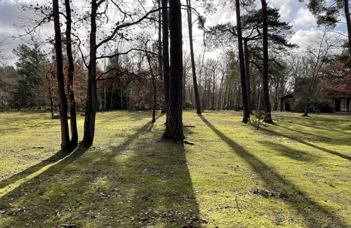 Menetreol Sur Sauldre Villa | Magnificent villa in a pretty wooded park of 6000m²