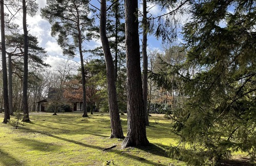Menetreol Sur Sauldre Villa | Magnificent villa in a pretty wooded park of 6000m²