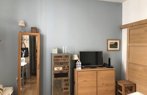 Saint-Serge Appartement | Magnificent apartment in the center of Angers with small garden