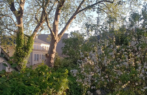 Saint-Louis Maison | Magnifique maison avec jardin in Versailles - Paris