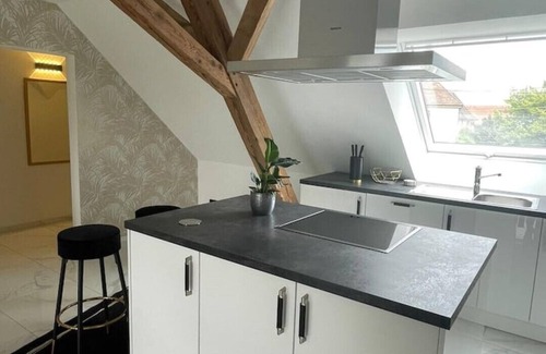 Gallenweiler Appartement | Magnificent Vosges view with 70sqm - quiet location