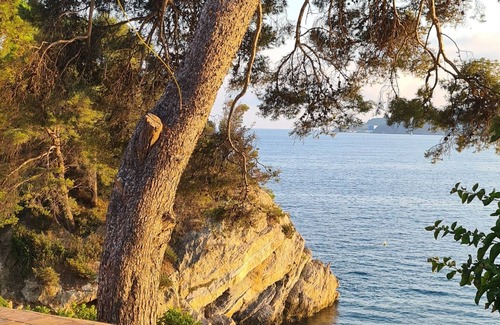 Le Mourillon Villa | Magnifique maison les pieds dans l'eau