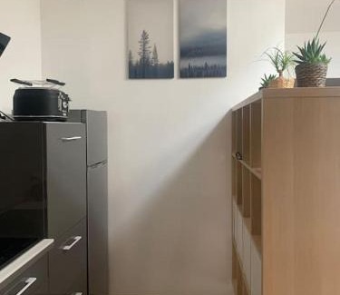 Saverdun Appartement | Magnifique appartement T2 en Centre VILLAGE