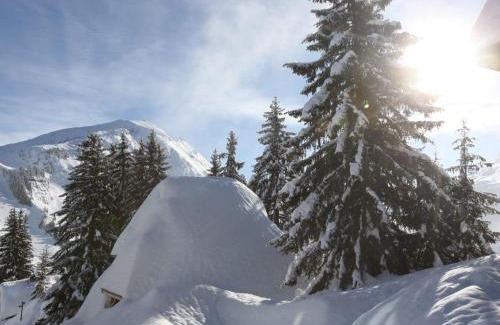 Avoriaz Chalet De Ski | Magnifique Chalet Individuel Rénové, 6 Chambres, 12 Pers. avec Services Premium - FR-1-314-243