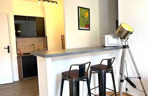 Vienne Appartement | Magnifique T2 place de la cathédrale et passerelle