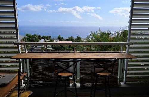Piton Saint-Leu Appartement | Magnifique T2 vue mer