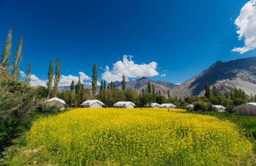Hunder Lit Et Petit-Déjeuner | Magpie Camp Ladakh by LexStays