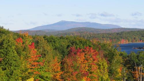 Ashburnham Lit Et Petit-Déjeuner | Maguire House Bed and Breakfast