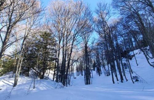 Bielle Appartement | Mailh- Massibé T2 5 pers près du ski linge de maison inclus parking tout confort jardin clos
