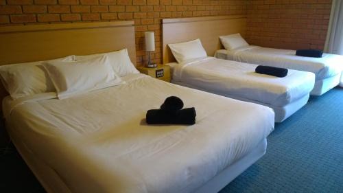 Golden Point Hôtel | Main Lead Ballarat Motel