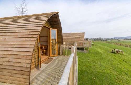 Kippen Autre | Mains Farm