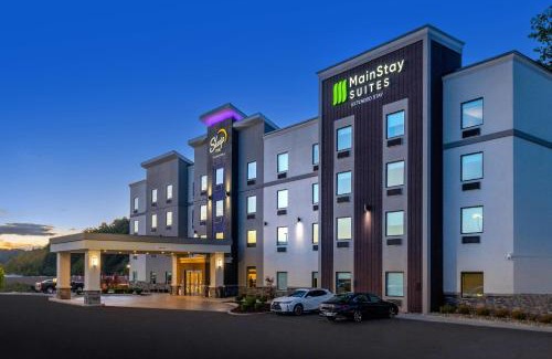 Scott Depot Hôtel | MainStay Suites Winfield-Teays Valley