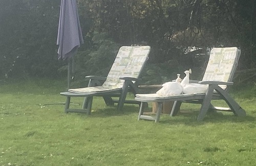 Puchay Maison | Maison à la campagne La Poussinière