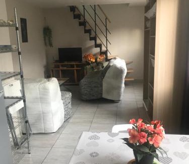 Fleury-les-Aubrais Maison | Maison à Orléans avec jardin