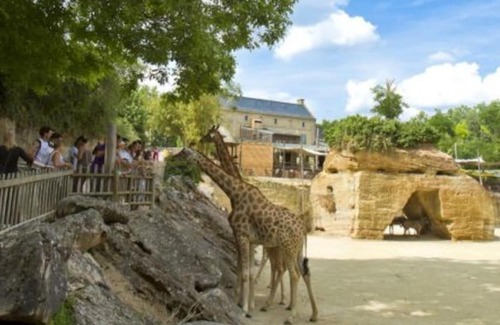 Louresse-Rochemenier Maison | Maison 2-3 pers semi-troglodyte Angers-Saumur