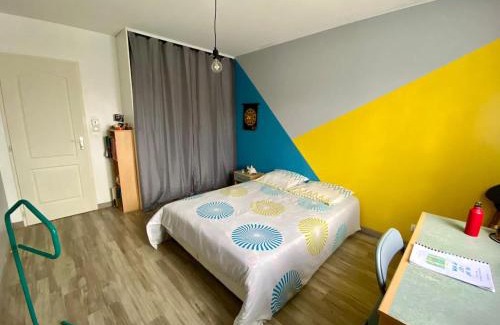 Buzancais Maison | Maison 3 chb-billard-wifi-jardin-canoë