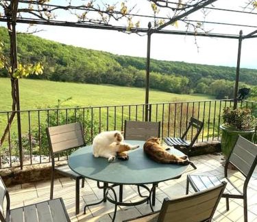 Felines-sur-Rimandoule Maison | MAISON 8 à 10p, piscine, parc, campagne sans voisin en Drôme provençale