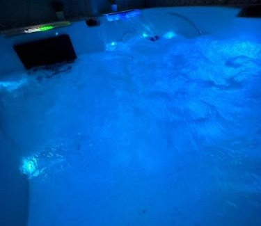 Maisdon-sur-Sevre Appartement | Maison avec jacuzzi