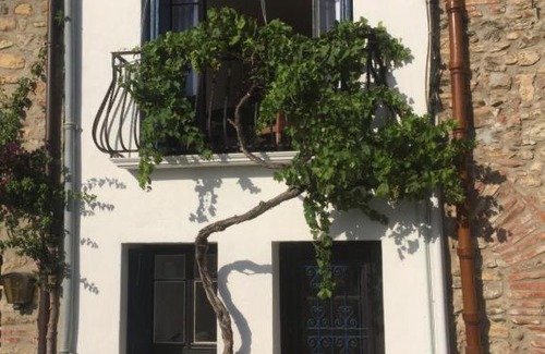 Laroque-des-Alberes Maison | Maison Blanche