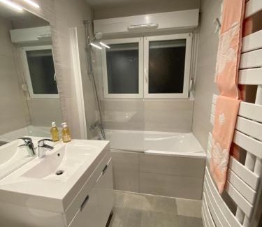 Creutzwald Appartement | Maison brantome