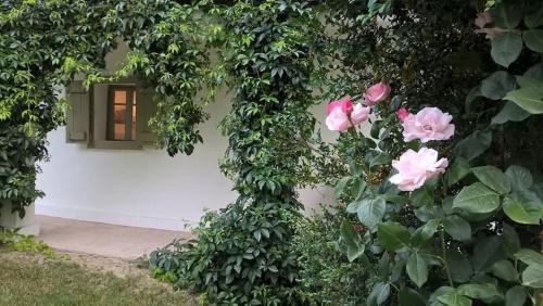 Szabadhidveg Maison | Maison Cirmi