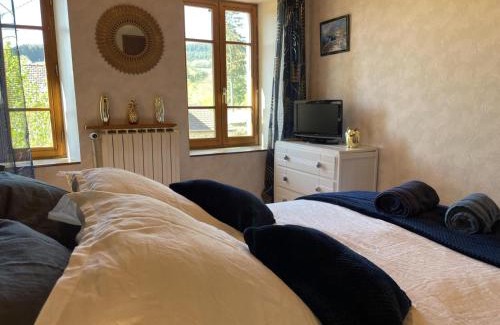 Laprugne Maison | Maison cocooning à la montagne - activités nature, cheminée, jardin clos, animaux bienvenus - FR-1-489-448