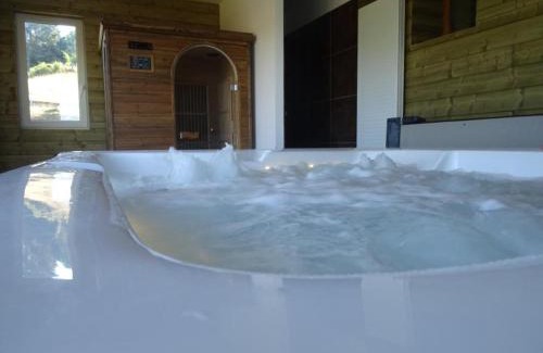 Saint-Andre-dʼApchon Appartement | Maison cosy avec spa, sauna et lamas à proximité de Roanne - FR-1-496-23