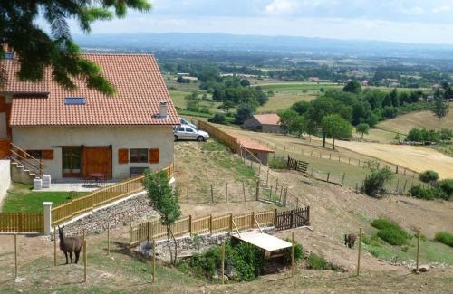 Saint-Andre-dʼApchon Appartement | Maison cosy avec spa, sauna et lamas à proximité de Roanne - FR-1-496-23