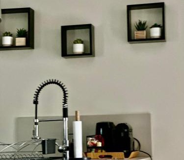 ZAC Andromede Appartement | Maison d'hôtes chic à Beauzelle