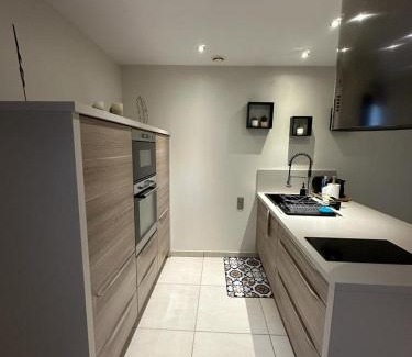 ZAC Andromede Appartement | Maison d'hôtes chic à Beauzelle