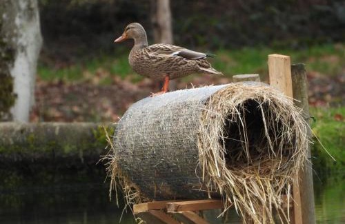 Soucht Maison | Maison d'hôtes en pleine nature avec chevaux