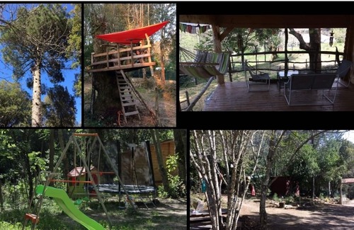 Zonza Maison | Maison dans les bois des aiguilles de BAVELLA