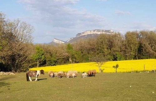La Roche-sur-Grane Maison | Maison de campagne idéale pour les amoureux de nature, randonnée, vtt. Le calme