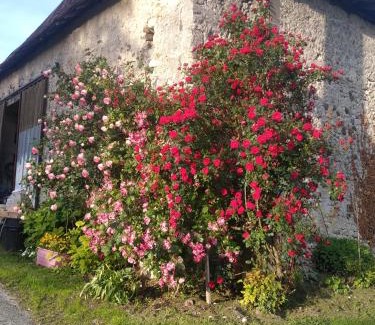 Pillac Maison | Maison de campagne à la ferme