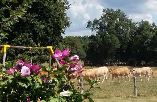 Bonnoeuvre Maison | Maison de charme avec piscine et grand jardin, près d'Ancenis - idéal pour familles et balades - FR-1-306-1151