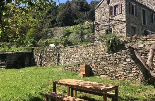 Pietra-di-Verde Maison | Maison de charme Corse sauvage
