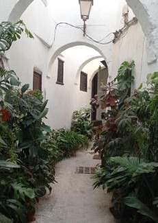 Medina of Tetouan Maison | Maison De La Lune