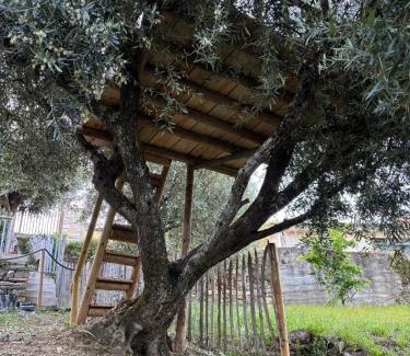 Armamar Maison | maison du olival