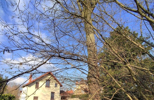 Saint-Michel-sur-Orge Maison | Maison et Jardin à 6 min du RER C