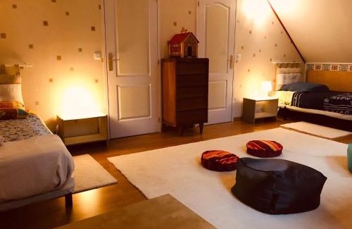 Villentrois Maison | Maison familiale jardin wifi 17km Beauval