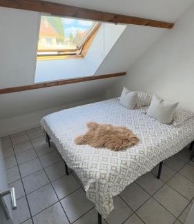 Lagny-sur-Marne Maison | Maison familiale près de Disney