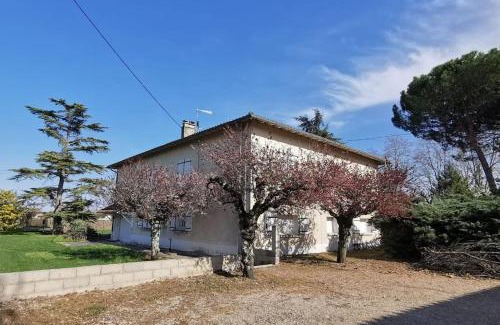 Gaillac Maison | Maison Gaillacoise