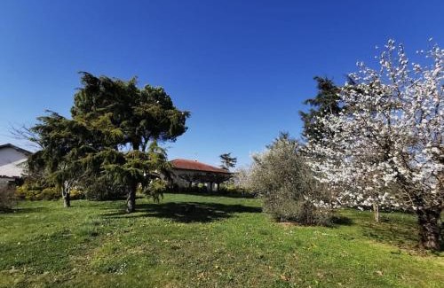 Gaillac Maison | Maison Gaillacoise
