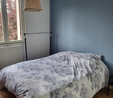 Vierzon Maison | Maison individuelle