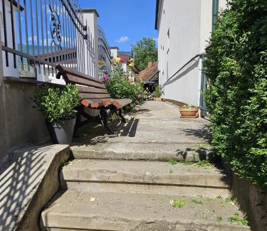 Cluj-Napoca Appartement | Maison Lulù