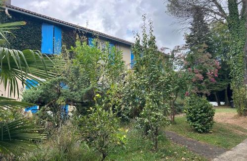 Salies-de-Bearn Appartement | Maison Luna 2