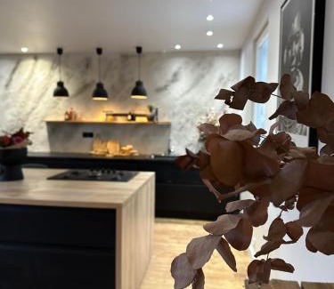 Fretin Maison | Maison Patcha