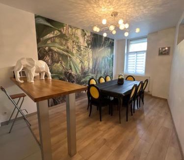 Valenciennes Appartement | maison pour groupe 4chambres 8lits 2salles de bain 3wc terrasse stationnement gratuit