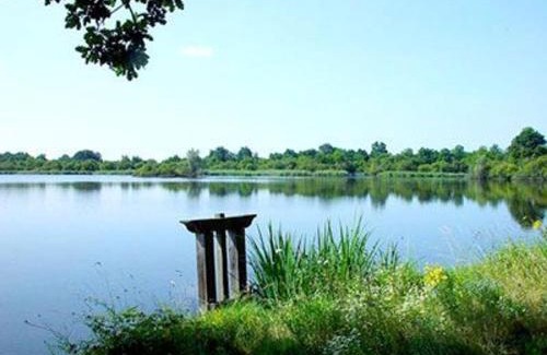 Mezieres-en-Brenne Maison | Maison spacieuse avec cour et cheminée au cœur du Parc Naturel de la Brenne - FR-1-591-229